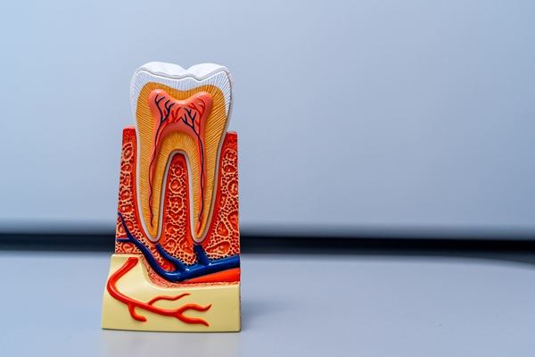 When Would A Dentist Recommend Root Canal Therapy?